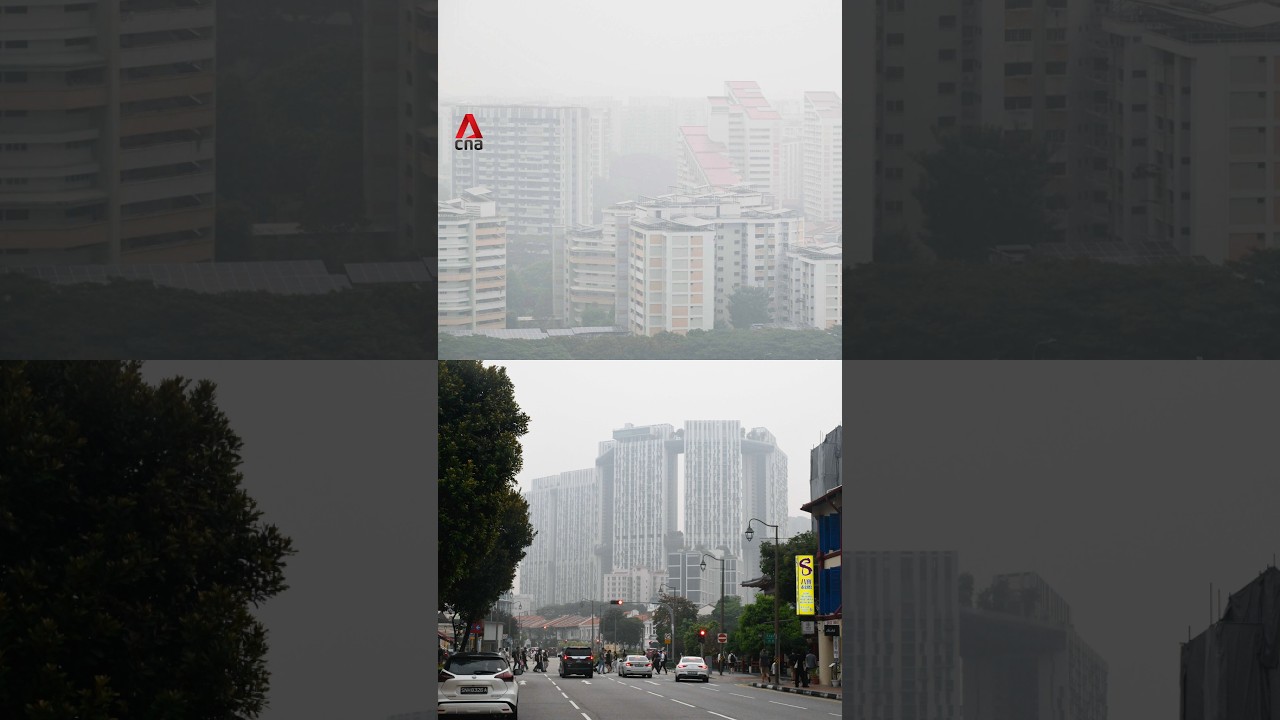 Singapore air quality hits unhealthy levels for 12th consecutive day, worst streak since 2015