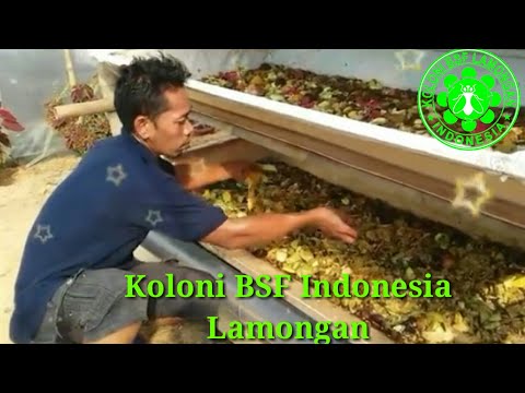Bagaimana meningkatkan laki-laki potensi rumah Latihan untuk meningkatkan potensi