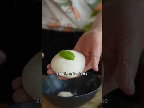 How to actually make Cheese