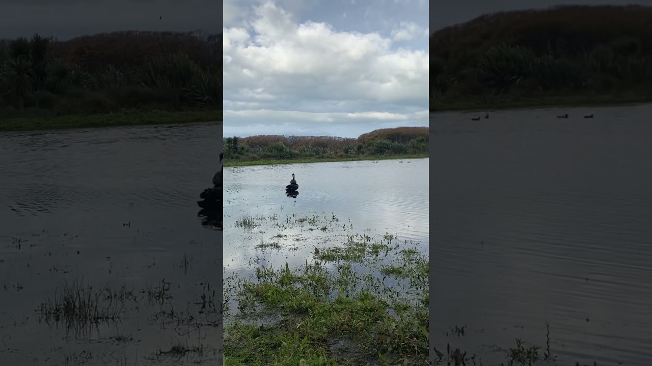 YouTube Short thumbnail