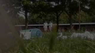 Niie wieder Ohne euch..