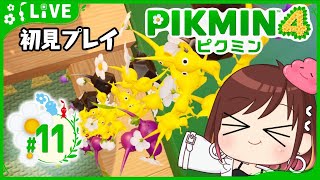 岩ピクミンは硬いだけ♪【ピクミン4初見プレイ】 #おはようvtuber  #11