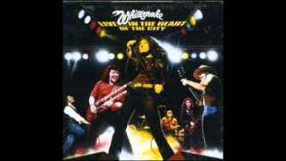 whitesnake fool for your loving