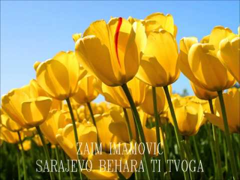 ZAIM IMAMOVIC - Sarajevo behara ti tvoga