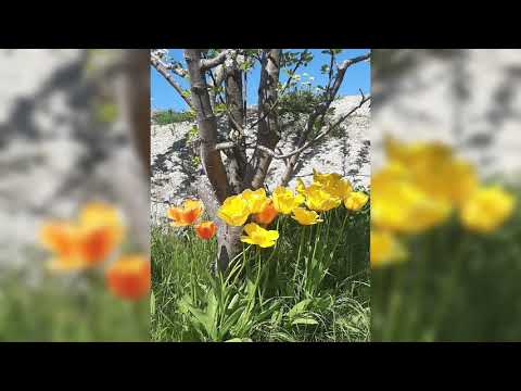 Start summer in norway