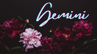 Gemini🪷So Much Love, Gemini🖤 This Is EXACTLY What You&#39;ve Been Waiting For🪷 Singles/New Love