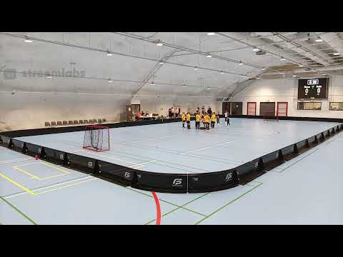 P11SKL2 Welhot Flames - Welhot Rocks