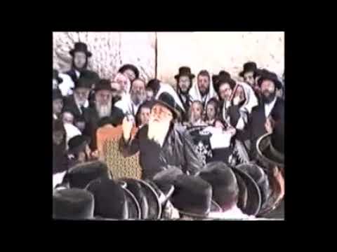 Yeshios Moshe Of Viznitz Zt"l At The Kosel