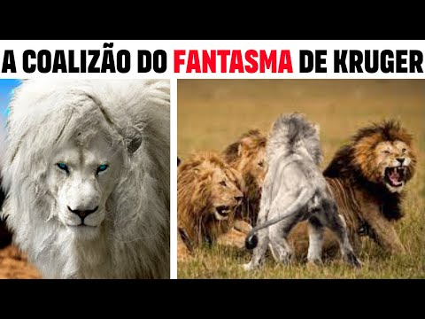 The Ghost Gang - SHISHANGAAN THE CASPER LION COALITION