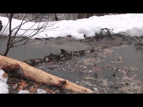 majavat padonrakentajina