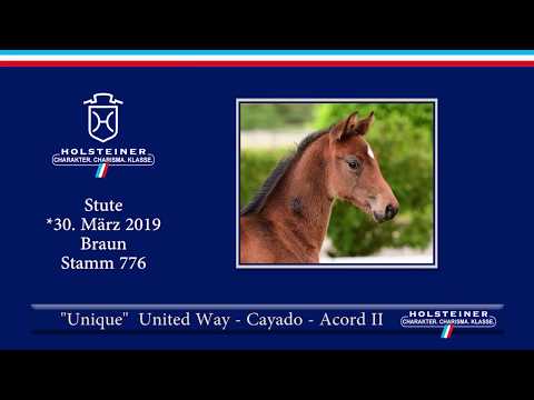Fohlenauktion Hamburger Derby | Nr. 06 - Unique v. United Way-Cayado