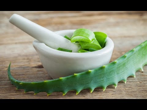 8 магических растений для Вашего дома