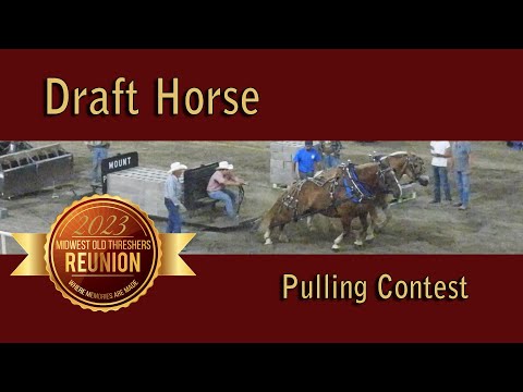 2023 Old Thresher Reunion - Draft Horse Pulling Contest