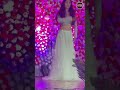 Miss India Dancing Her Heart Out Shorts Missindia Sinishetty Mumbai