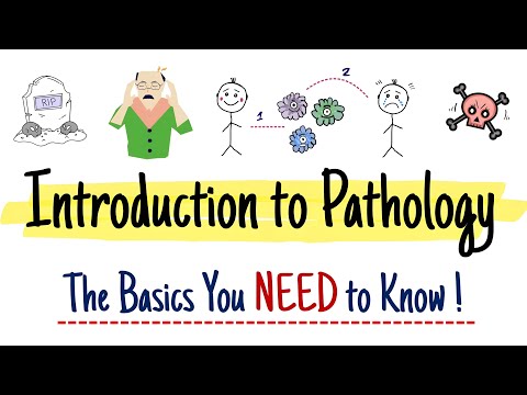 Introduction to Pathology: the basics you need to know!