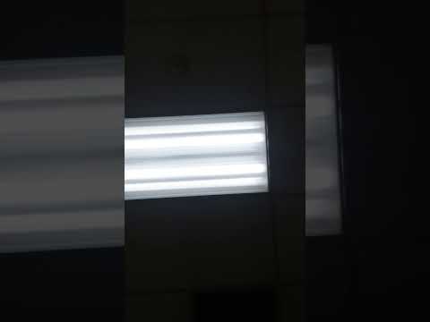 Free Lunch- Fast food chapter