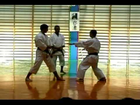 【伝統松濤館空手】国際合宿での指導 "Traditional Shotokan Karate" International Karate Camp "GASSHUKU 2005" in Poland