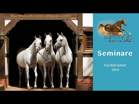 Fotoseminar 2024 auf dem ARABERGESTÜT ISMER mit Gabriele Boiselle