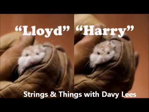 Strings & Things with Davy Lees @ Celtic Music Radio