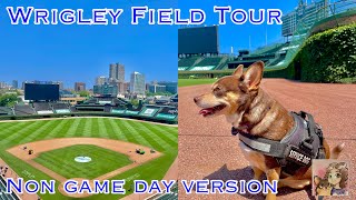 Wrigley Field Tour Non Game Day Version | We're on The Field at Wrigley!