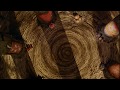 The Nightmare Before Christmas 1993 Intro HD