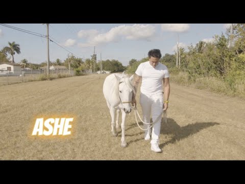 DadeCountyTarzan -Ashe (Official Music Video)