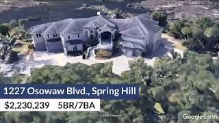 Hernando County's most valuable homes