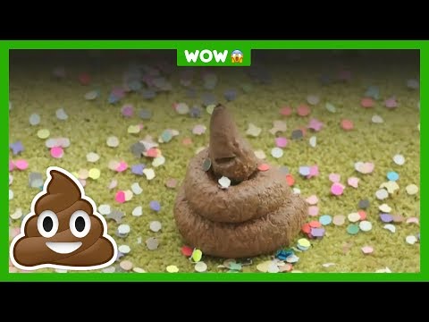 Hoe ziet jouw poep eruit? 🚽💦