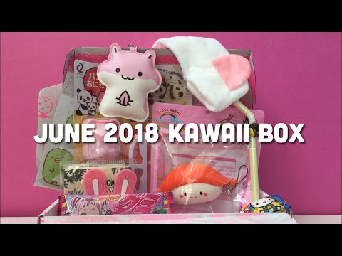 Kawaii Box - June 2018 (Get $5 Off a Subscription) | Toy Tiny Video
