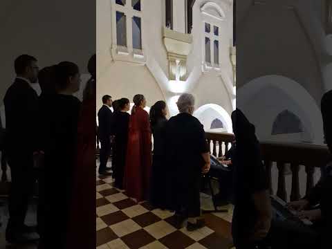 CANTALIRICA Boda Analia Sosa Bergues y Renato Gonzalez Can´t help fallling in love. San José