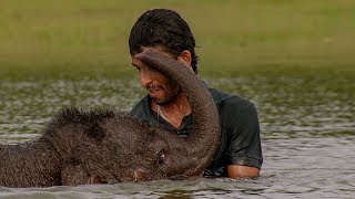 Three-Legged Elephant Bathes with Human Friend | BBC Earth