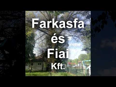 Farkasfa és Fiai Kft. Kenézlő (2018)
