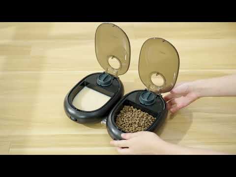 CBD for Cats Video Preview