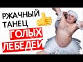 "УБОЙНЫЙ ТАНЕЦ ГОЛЫХ ЛЕБЕДЕЙ!" СВАДЬБА ОТ ВЕДУЩЕГО ВАЛЕРИЯ ...