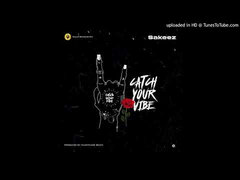Sakeez – Catch Your Vibe (Official Audio)