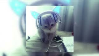 Cover art for The less i know the better - sped up