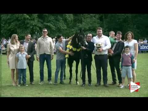 Bruges 2016 - International Best in Show - Prizegiving: n. 182 ZENNYATTA