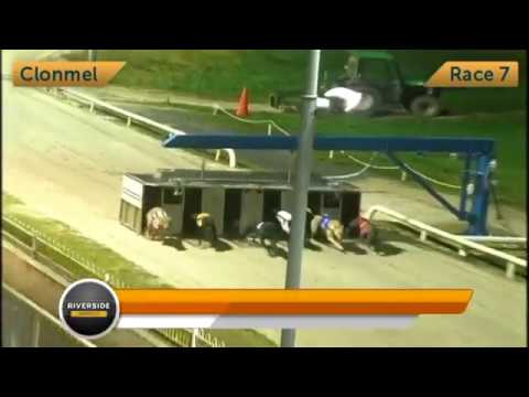 Newinn Session - Rural Hawaii @ Stud ON1 Unraced Stake Round 1