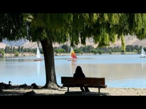 The Palo Alto Diaries