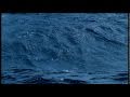 Blue Planet Open Abertura