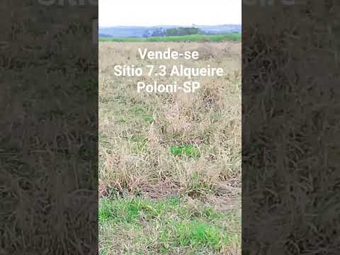 Vende-se Sítio 7.3 Alqueires  Porteira fechada Poloni-SP interior São Paulo. #agro #sitioavenda