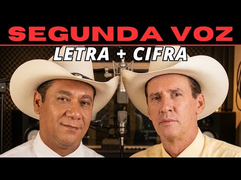 A viola e a saudade - Goiano e Paranaense