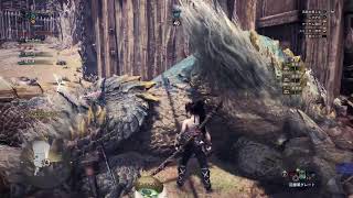 アイスボーン 軽くするオジお兄さん