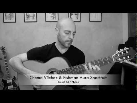 Chema Vilchez y Fishman Aura Spectrum DI - Atardecer Mediterraneo.mov