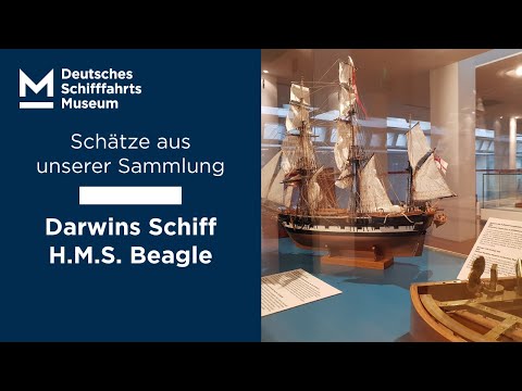 Schätze aus unserer Sammlung: Darwins Schiff H.M.S. BEAGLE
