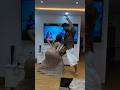 Indian Girl Twerking Beautiful Dance Hot Status Indianreelstrending Instagram Cutegirl Dancer
