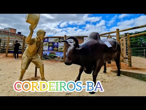 EXPOSIÇÃO AGROPECUÁRIA EM CORDEIROS-BA/CIDADE ONDE MORAMOS!
