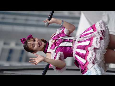 動画のタイトルなど