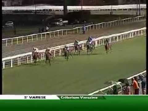 Criterium Varesino Mem Virginio Curti 2012 (CONDIZIONATA)