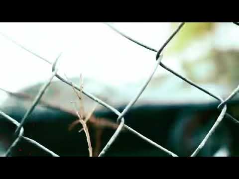 Dirty Redd 219 - Bags up ( Official video)